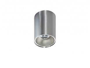 Griestu lampa AZzardo Remo AZ0820 цена и информация | Потолочные светильники | 220.lv