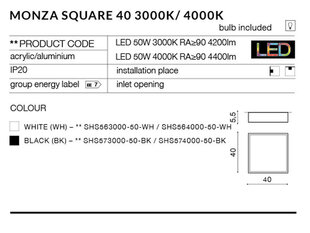 Потолочный светильник AZzardo Monza sq AZ2275 цена и информация | Потолочные светильники | 220.lv