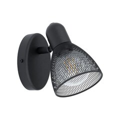 Настенный светильник Eglo Carovigno 98621 цена и информация | Настенные светильники | 220.lv