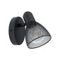 Sienas lampa Eglo Carovigno 98621 цена и информация | Sienas lampas | 220.lv