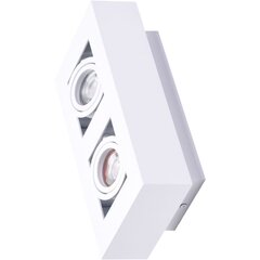 Потолочный светильник Azzardo Nikea AZ4434 цена и информация | Потолочные светильники | 220.lv