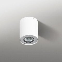 Griestu lampa AZzardo Neos AZ0606 cena un informācija | Griestu lampas | 220.lv