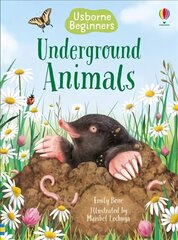 Underground Animals цена и информация | Книги для подростков  | 220.lv