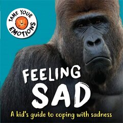 Tame Your Emotions: Feeling Sad cena un informācija | Grāmatas pusaudžiem un jauniešiem | 220.lv