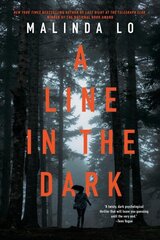 Line in the Dark цена и информация | Книги для подростков и молодежи | 220.lv