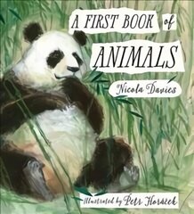 First Book of Animals цена и информация | Книги для подростков и молодежи | 220.lv