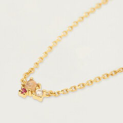 PDPAOLA Romantiska zeltīta kaklarota ROSÉ BLUSH Gold CO01-175-U cena un informācija | Kaklarotas | 220.lv