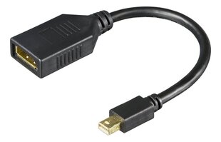 Deltaco mini DisplayPort adapteris 4K UHD 60Hz, 0.2m, melns / MDP-DP1-K / 00110028 цена и информация | Адаптеры и USB разветвители | 220.lv