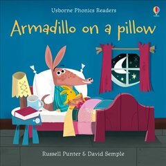 Armadillo on a pillow UK 2019 цена и информация | Книги для подростков  | 220.lv