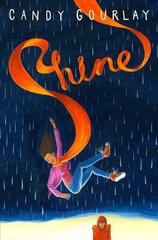 Shine цена и информация | Книги для подростков и молодежи | 220.lv