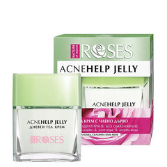 Ikdienas gēla krēms problemātiskai ādai Roses AcneHelp Jelly (sejas želejkrēms) 50 ml цена и информация | Наносите на чистую кожу лица. Подержите около 10-15 минут и смойте водой. | 220.lv