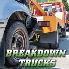 Breakdown Trucks cena un informācija | Grāmatas pusaudžiem un jauniešiem | 220.lv