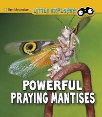 Powerful Praying Mantises цена и информация | Книги для подростков и молодежи | 220.lv