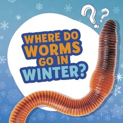 Where Do Worms Go in Winter? cena un informācija | Grāmatas pusaudžiem un jauniešiem | 220.lv