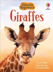 Giraffes цена и информация | Книги для подростков и молодежи | 220.lv