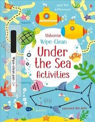 Wipe-Clean Under the Sea Activities цена и информация | Книги для подростков и молодежи | 220.lv