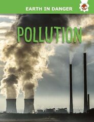 Pollution: Earth In Danger cena un informācija | Grāmatas pusaudžiem un jauniešiem | 220.lv