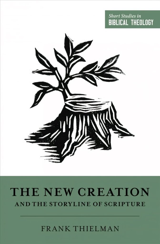 New Creation and the Storyline of Scripture цена и информация | Garīgā literatūra | 220.lv