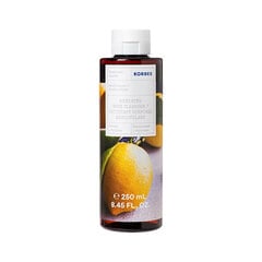 Revita Basil Lemon (dušas želeja) 250 ml цена и информация | Масла, гели для душа | 220.lv