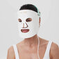 L&L Skin LED Mask cena un informācija | Sejas kopšanas ierīces | 220.lv