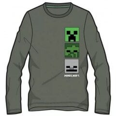 Minecraft bērnu T-krekls ar garām piedurknēm cena un informācija | Zēnu krekli | 220.lv