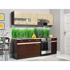 Кухонный гарнитур Eliza 220 цена и информация | Кухонные гарнитуры | 220.lv