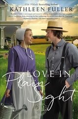 Love in Plain Sight цена и информация | Фантастика, фэнтези | 220.lv