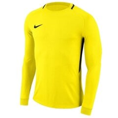 Sporta krekls Goalkeeper jersey Nike Dry Park III LS Junior cena un informācija | Zēnu jakas, džemperi, žaketes, vestes | 220.lv