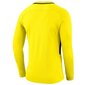 Sporta krekls Goalkeeper jersey Nike Dry Park III LS Junior cena un informācija | Zēnu jakas, džemperi, žaketes, vestes | 220.lv