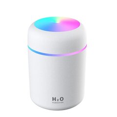 USB gaisa attīrītājs, mitrinātājs ar daudzkrāsainu apgaismojumu, baltā krāsā цена и информация | Увлажнители воздуха | 220.lv