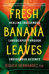 Fresh Banana Leaves: Healing Indigenous Landscapes through Indigenous Science cena un informācija | Sociālo zinātņu grāmatas | 220.lv