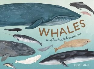 Whales: An Illustrated Celebration цена и информация | Книги о питании и здоровом образе жизни | 220.lv