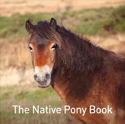 Native Pony Book цена и информация | Grāmatas pusaudžiem un jauniešiem | 220.lv