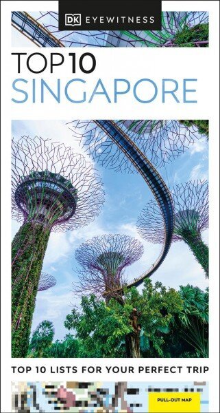 DK Eyewitness Top 10 Singapore цена и информация | Ceļojumu apraksti, ceļveži | 220.lv