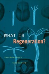 What Is Regeneration? 1 cena un informācija | Ekonomikas grāmatas | 220.lv