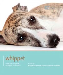 Whippet - Dog Expert: Whippet - Dog Expert цена и информация | Книги о питании и здоровом образе жизни | 220.lv