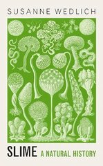 Slime: A Natural History цена и информация | Книги по экономике | 220.lv