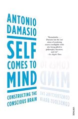 Self Comes to Mind: Constructing the Conscious Brain цена и информация | Книги по экономике | 220.lv