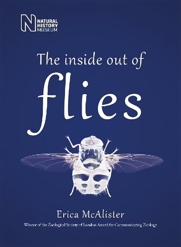 Inside Out of Flies cena un informācija | Ekonomikas grāmatas | 220.lv