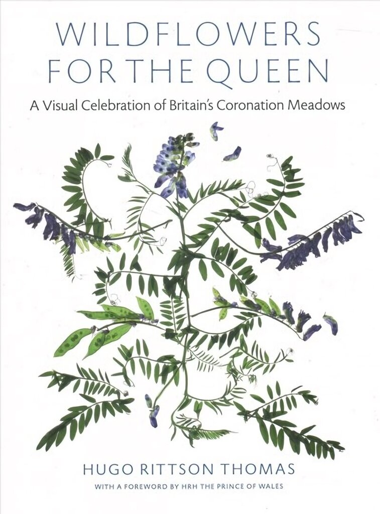 Wildflowers for the Queen: A Visual Celebration of Britain's Coronation Meadows цена и информация | Grāmatas par veselīgu dzīvesveidu un uzturu | 220.lv