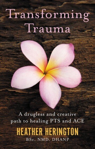 Transforming Trauma: A drugless and creative path to healing PTS and ACE цена и информация | Pašpalīdzības grāmatas | 220.lv