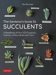 Gardener's Guide to Succulents: A Handbook of Over 125 Exquisite Varieties of Succulents and Cacti cena un informācija | Grāmatas par dārzkopību | 220.lv