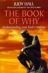 Book of Why: Understanding Your Soul's Journey cena un informācija | Pašpalīdzības grāmatas | 220.lv