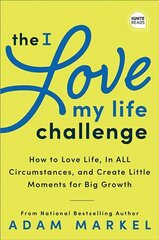 The I Love My Life Challenge: The Art & Science of Reconnecting with Your Life: A Breakthrough Guide to Spark Joy, Innovation, and Growth cena un informācija | Pašpalīdzības grāmatas | 220.lv