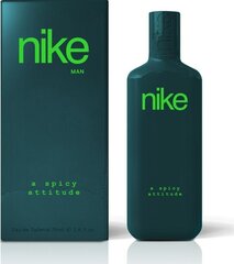 Tualetes ūdens Nike A Spicy Attitude EDT, 75 ml cena un informācija | Vīriešu smaržas | 220.lv