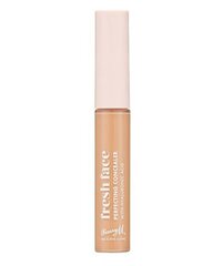 Korektors Fresh Face (Perfecting Concealer) 7 g cena un informācija | Grima bāzes, tonālie krēmi, pūderi | 220.lv