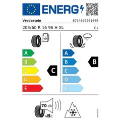 Vredestein Wintrac 205/60R16 96 H цена и информация | Зимняя резина | 220.lv