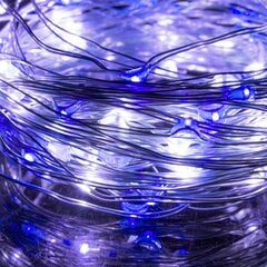 Lampiņas 100 LED цена и информация | Гирлянды | 220.lv