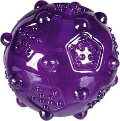 Мяч Trixie, TPR, ø 7 см цена и информация | Игрушки для собак | 220.lv
