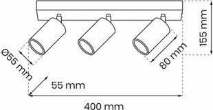 Milagro HUDSON WHITE 3xGU10 griestu lampa цена и информация | Потолочные светильники | 220.lv